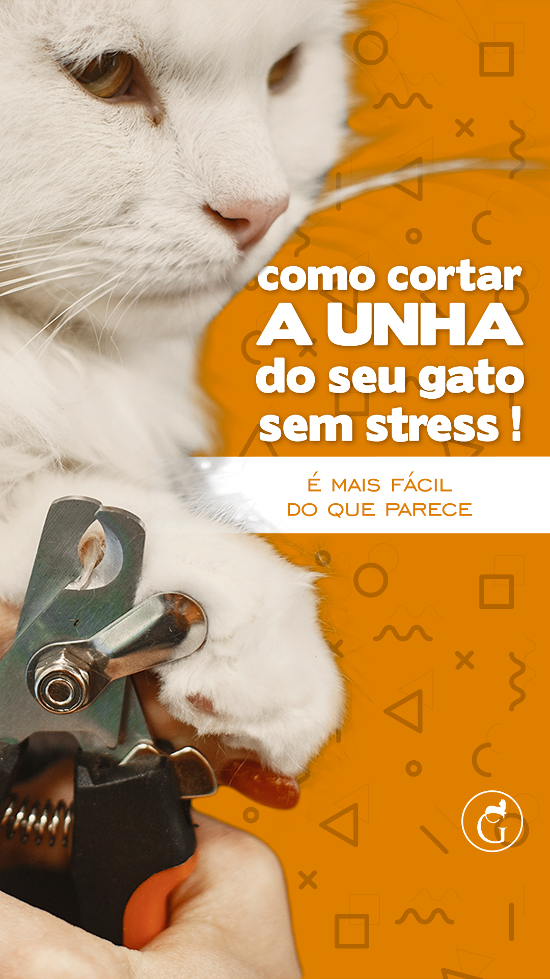 Agosto Stories 1