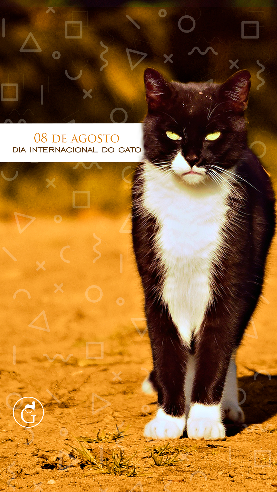 Agosto Stories 3