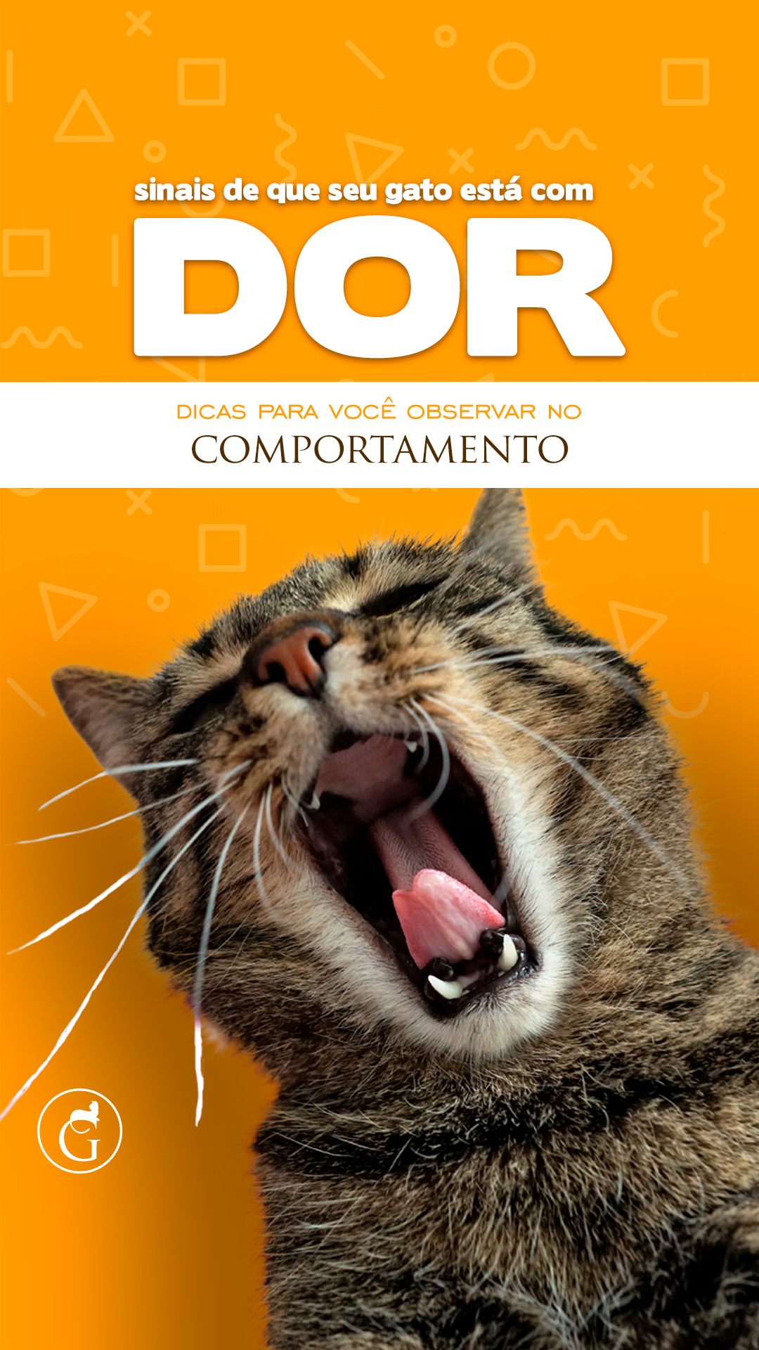 Agosto Stories 4