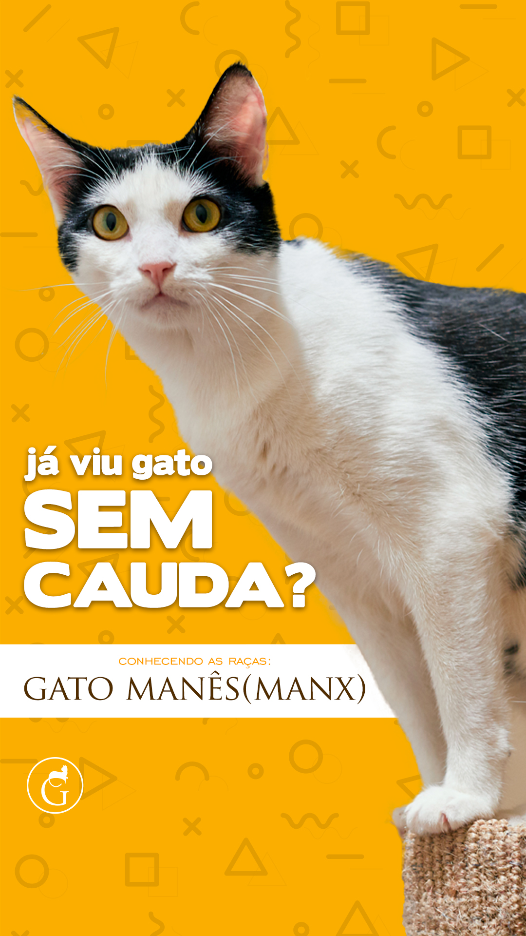 Agosto Stories 7